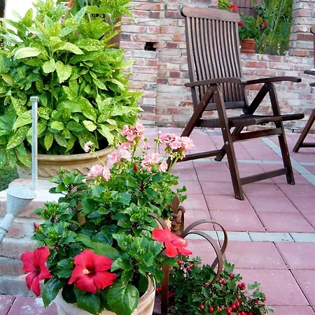 Forstblick אתר קמפינג בצנשטיין