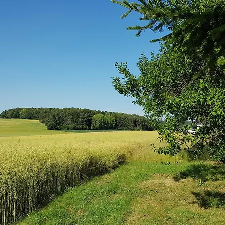 Forstblick مكان تخييم *