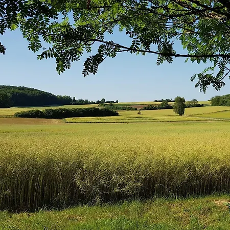 Forstblick *