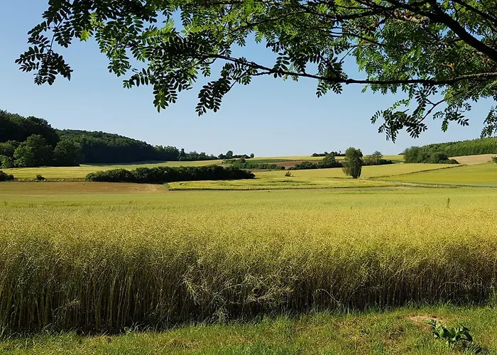 Forstblick *